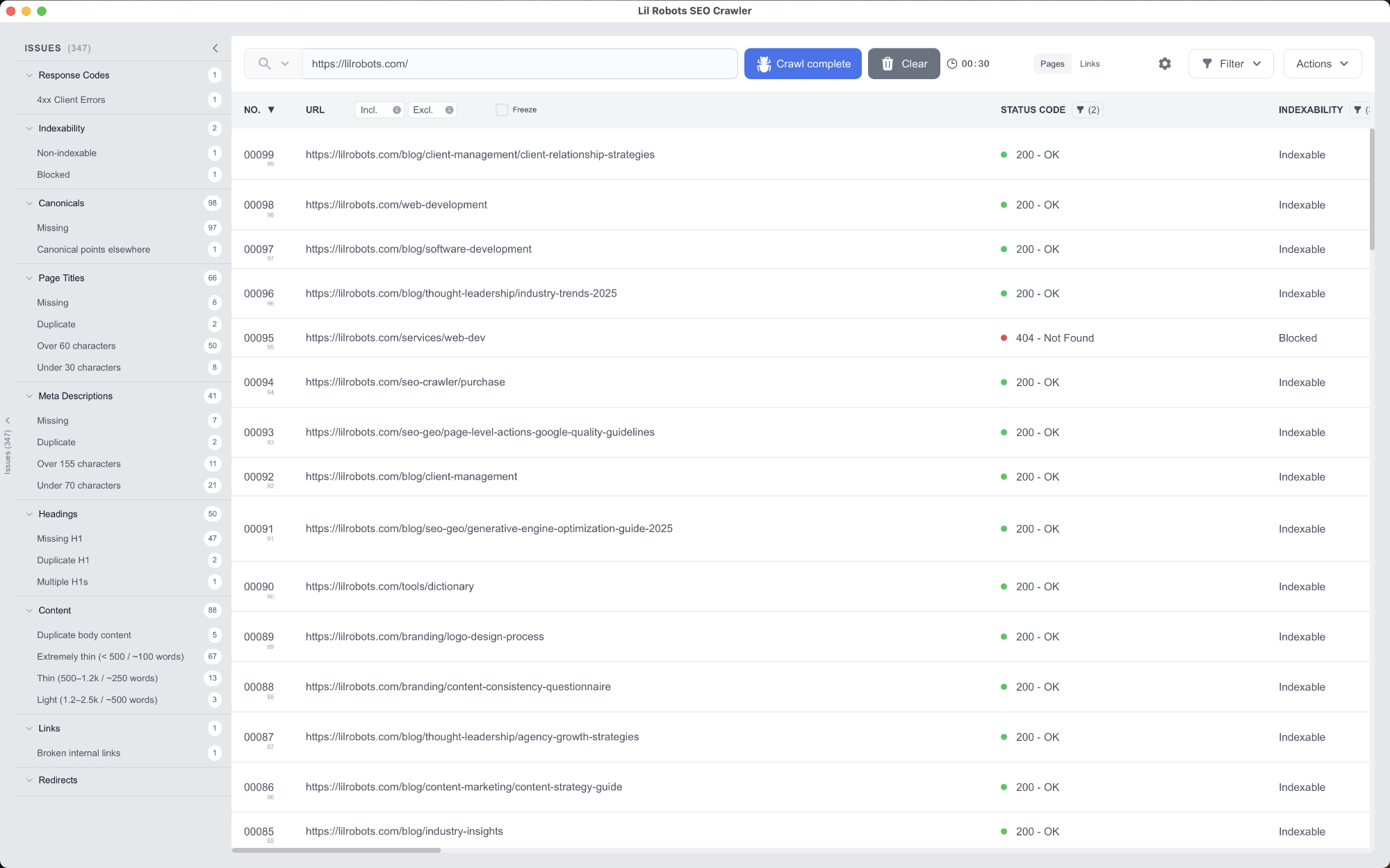 Lil Robots SEO Crawler displaying issue counts, active filters, and many audited pages.